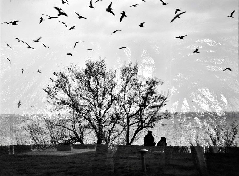 Romanticphoto preview