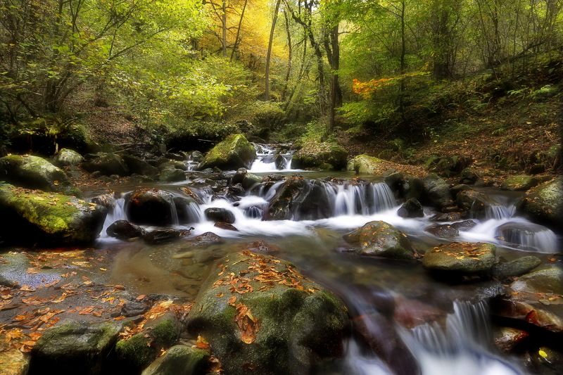 осень горы река. По осенней реке.photo preview