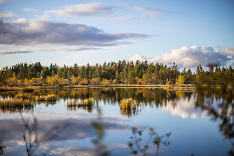 осень, север, солнце, река Северная осеньphoto preview