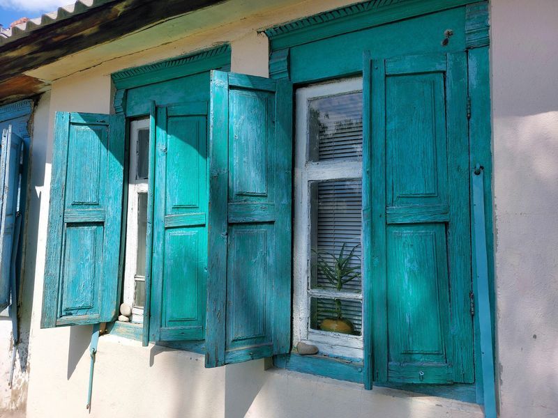 Былое. Алоэ.photo preview