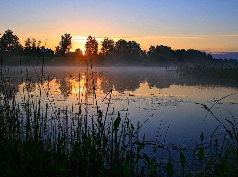 Про нежность ранннего утраphoto preview