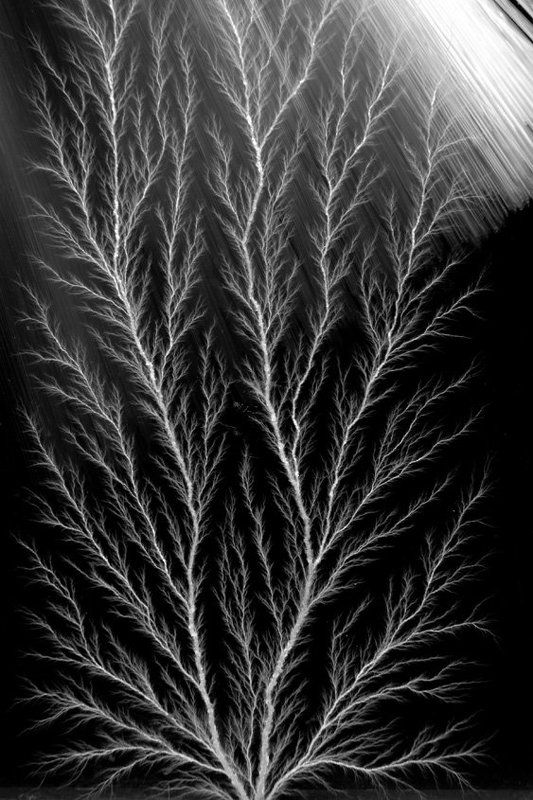 натюрморт Энергия светаphoto preview