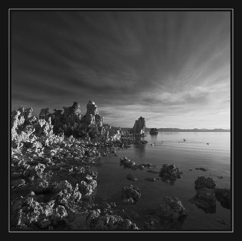 Pure Morningphoto preview