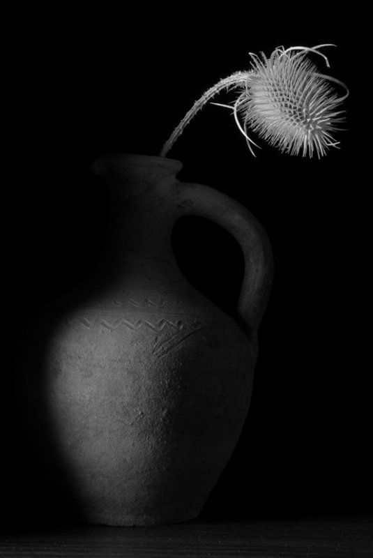 натюрморт Колючкаphoto preview