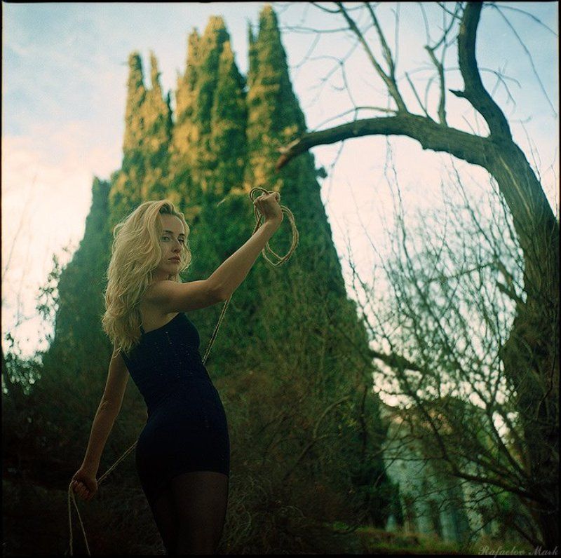 Одинокая птицаphoto preview