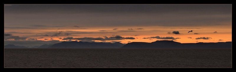 арктика,шпицберген,закат Арктический закат 2 фото превью