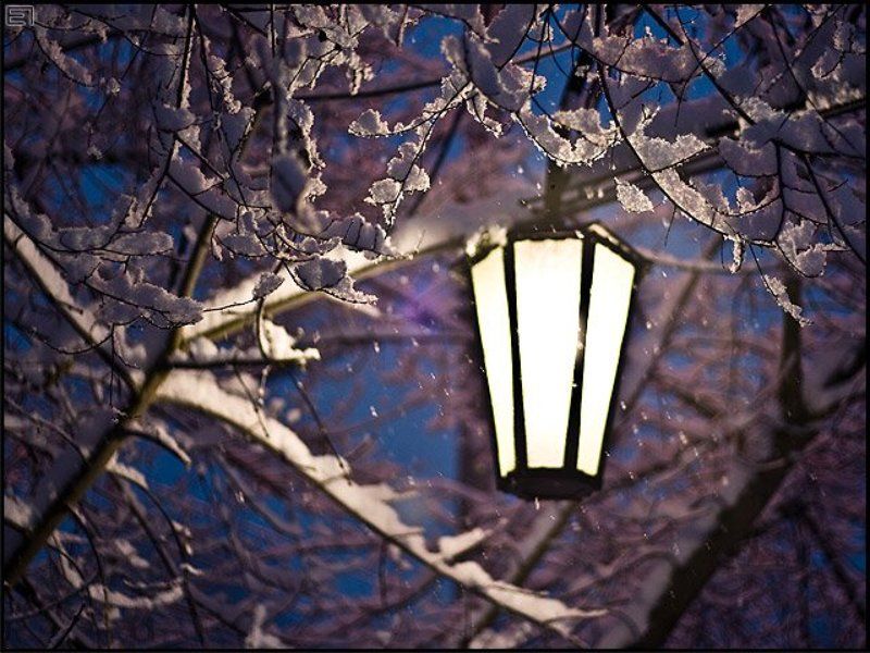 зима, снег, хлопья, фонарь, ночь Фонарь. Зима. Фонарь.photo preview