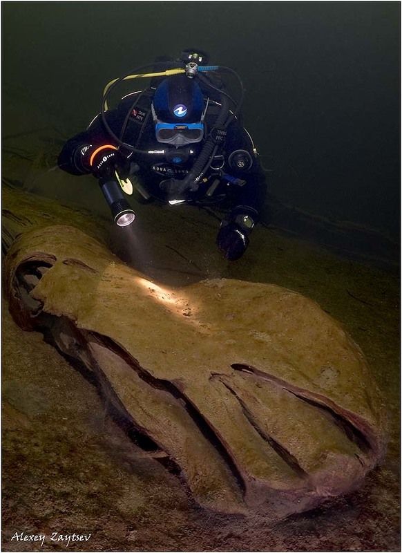 зайцев, обучение, подводной, фотографии, телецкое, озеро Чей туфля`?!photo preview