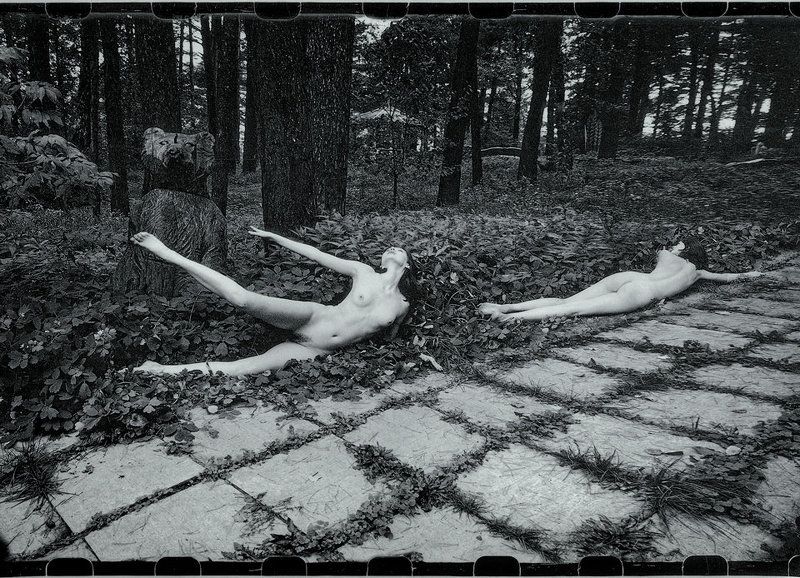 Чеховские Мотивыphoto preview