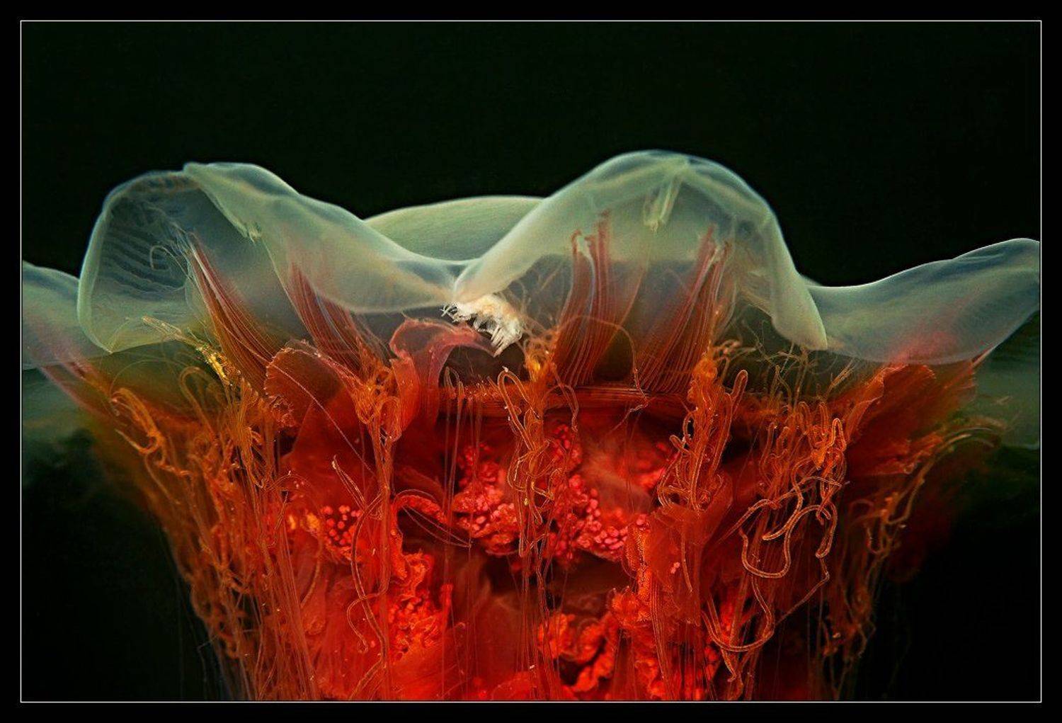 , Марина Кочетова