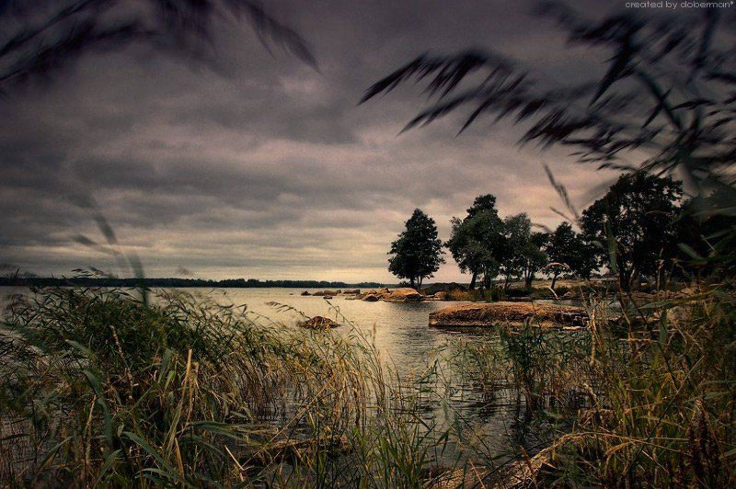 , Денис Богомолов