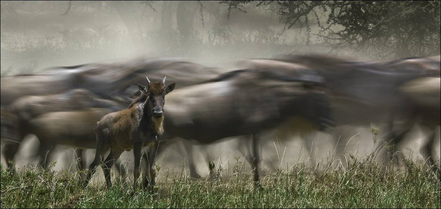 , Игорь Гущин