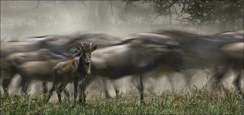 Между прошлым и будущимphoto preview