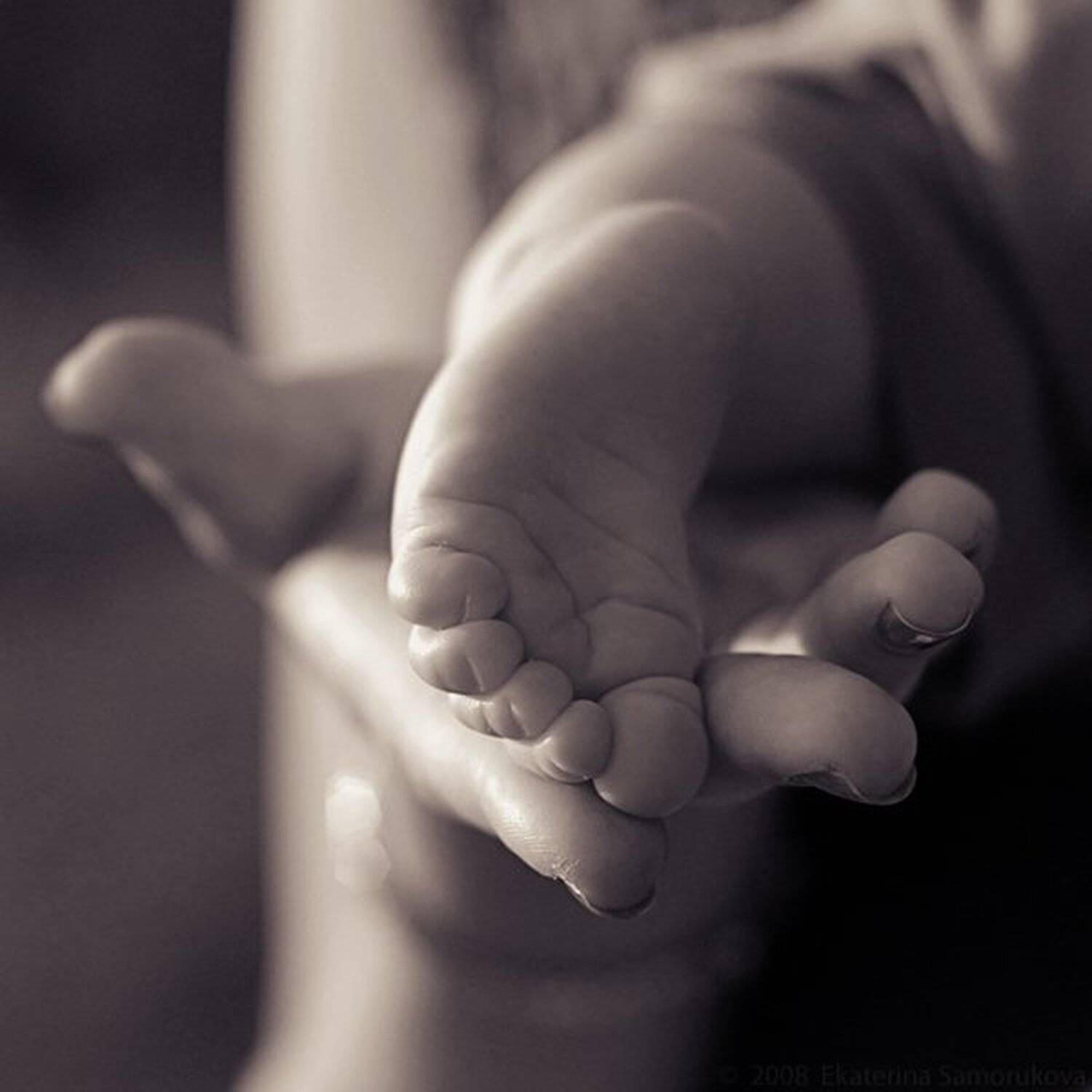Автор: Екатерина Саморукова ножка, ребёнок, детское, сепия, семья, Екатерина Саморукова