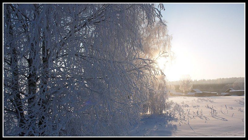 Берендеево царство.photo preview