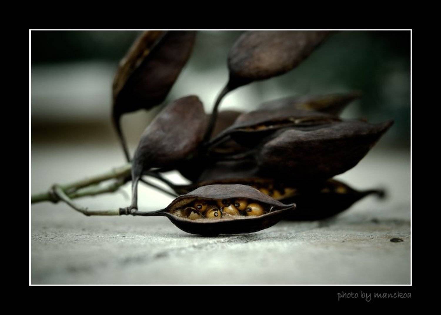 находка. Автор: Alexandra , Alexandra