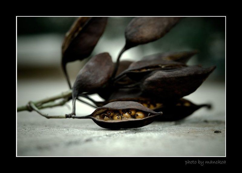 находкаphoto preview