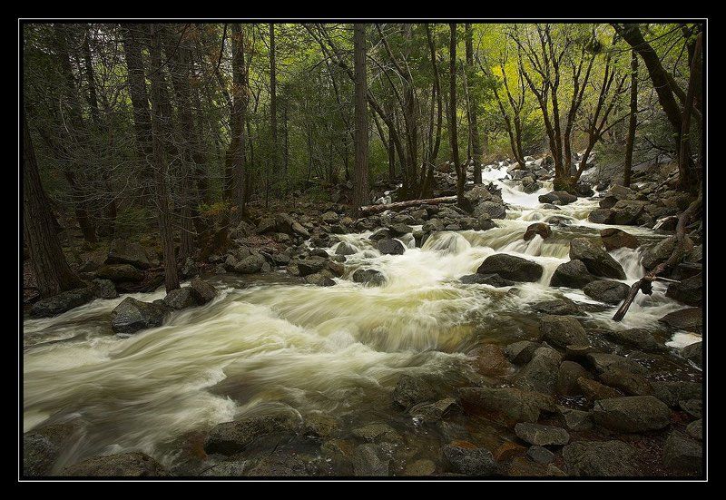 Bridalveil Creek, Yosemitephoto preview