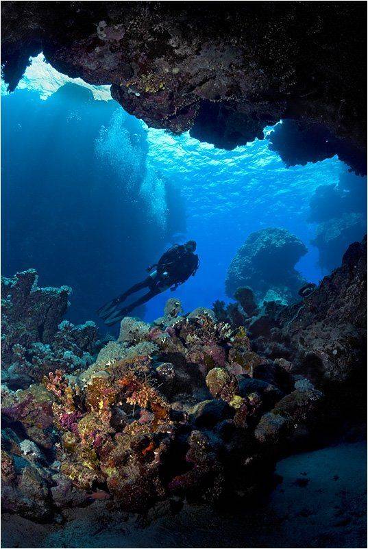 Пещерный человек. Автор: Сергей Шанин , Сергей Шанин