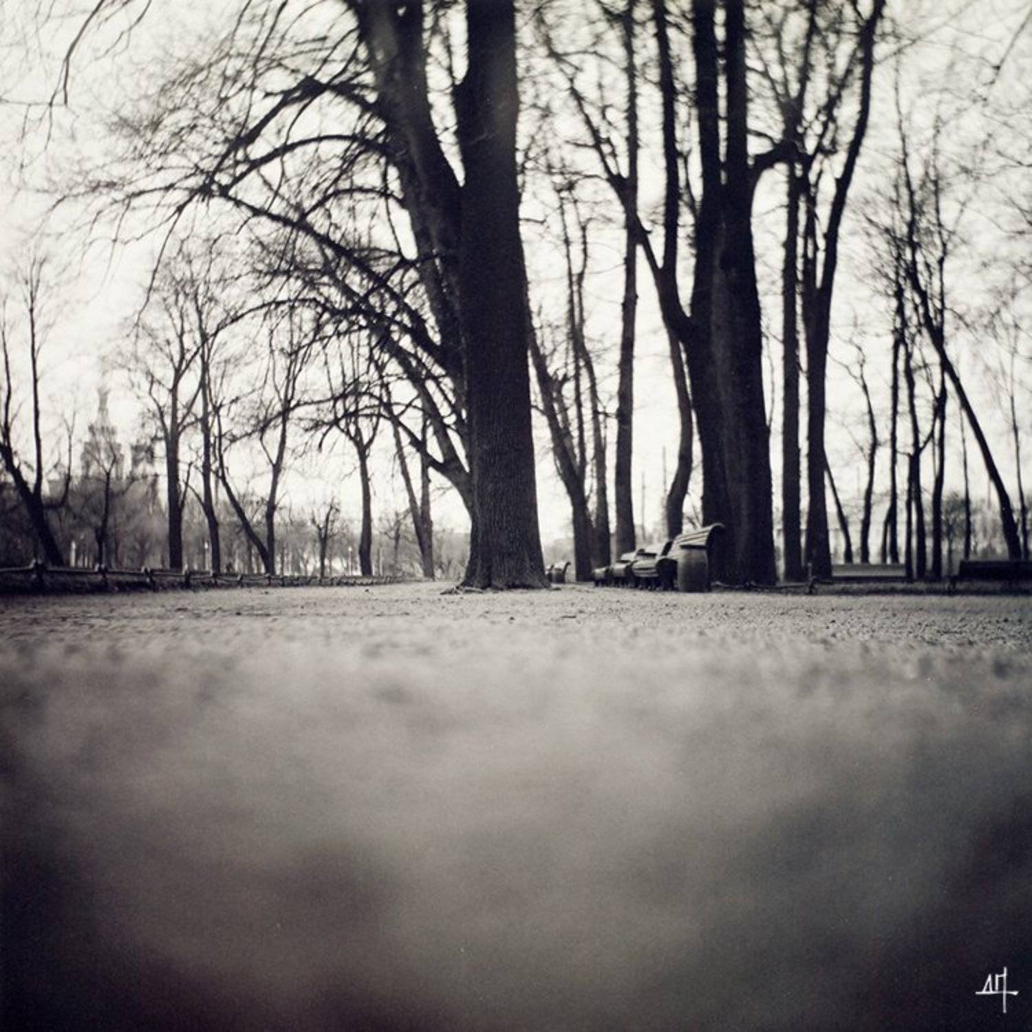 , Дмитрий Плотникофф