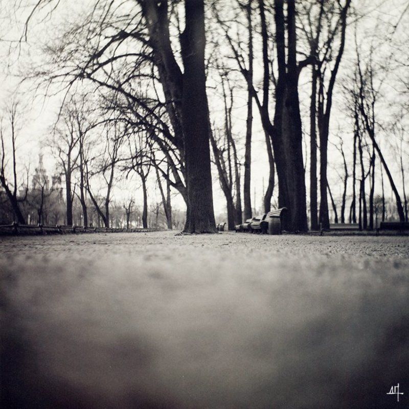 Взгляд птицыphoto preview