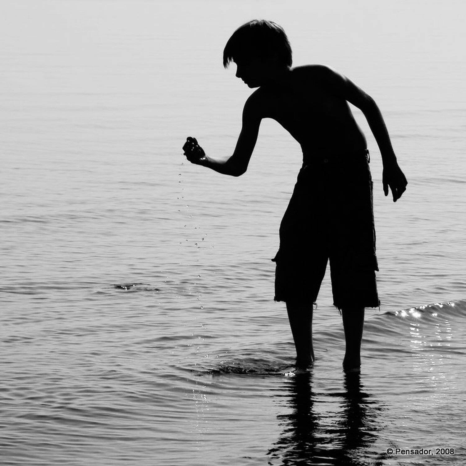 Ловец воды.... Автор: © Pensador никита, залив, © Pensador