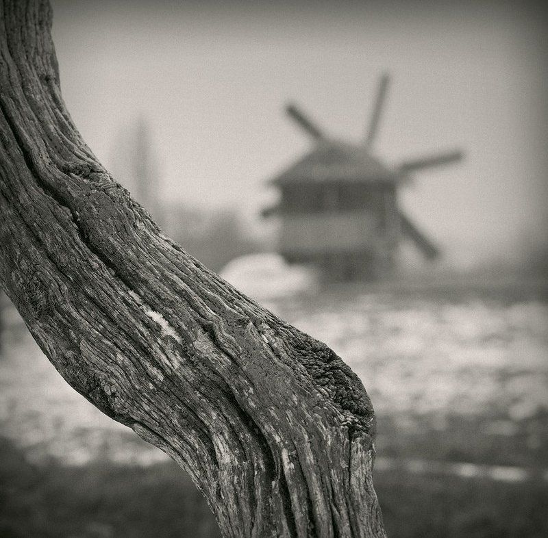 Зарисовки из Пирогово....photo preview