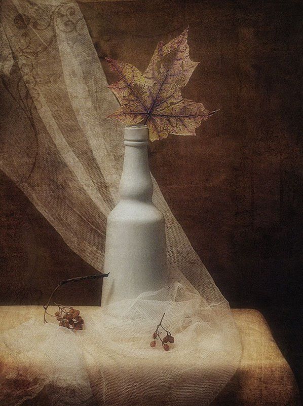 натюрморт, осень, лист Последний листокphoto preview