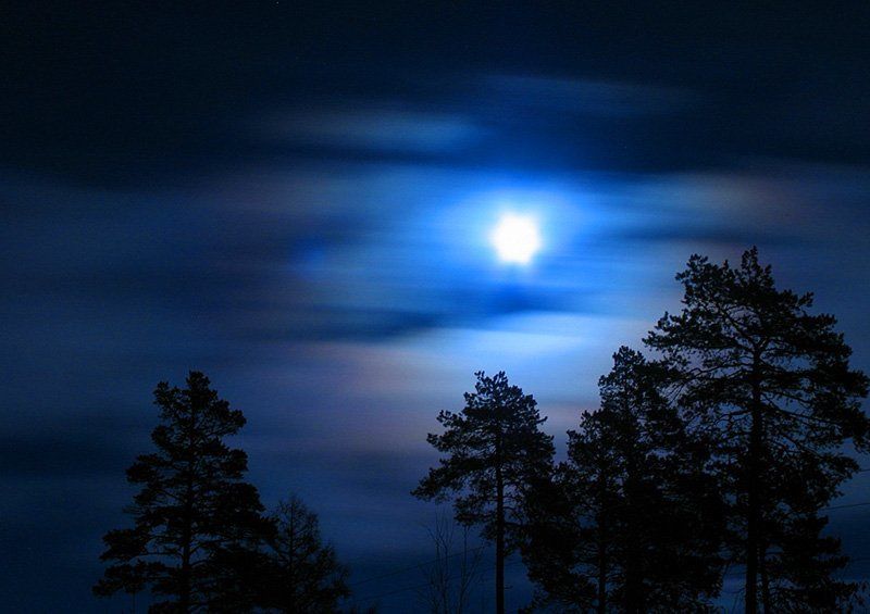 ночь, луна, силует полнолуниеphoto preview