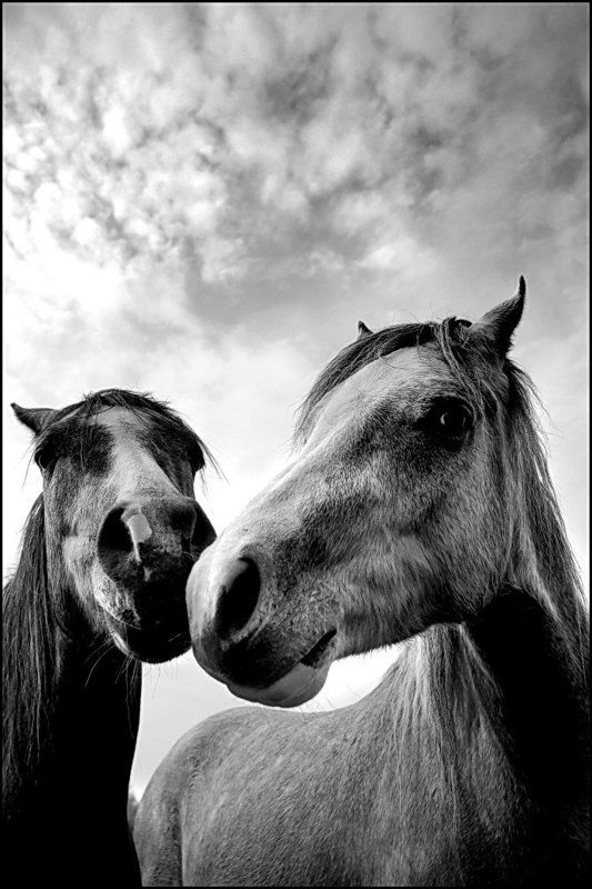 Это любоФФ...photo preview