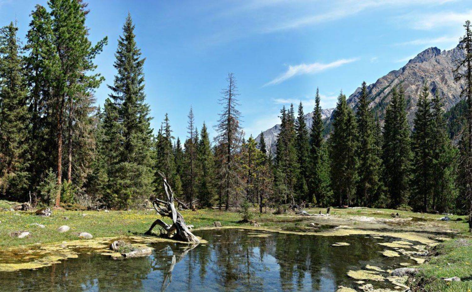 ***. Автор: Скиталец , Скиталец