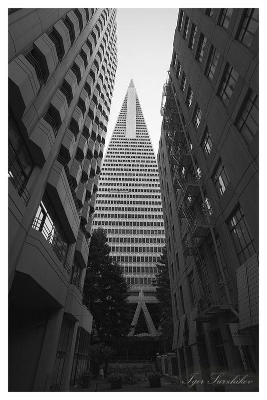 сан-франциско Город в стилеphoto preview