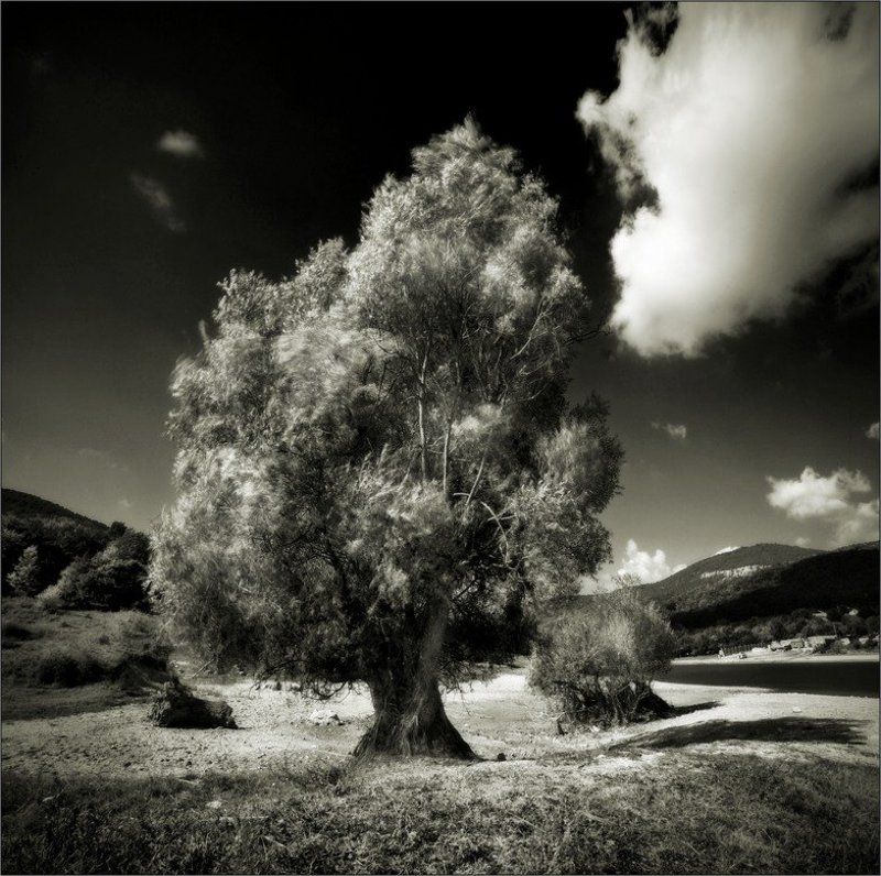 пейзаж л у к о м о р ь еphoto preview