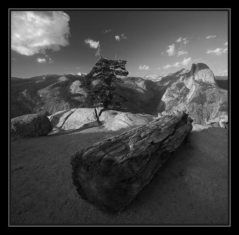 Разговаривал дедушка с внучком...photo preview