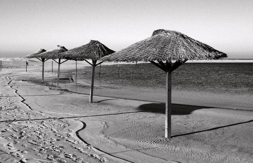 Мёртвый сезон. Автор: Павел Дунюшкин , Павел Дунюшкин