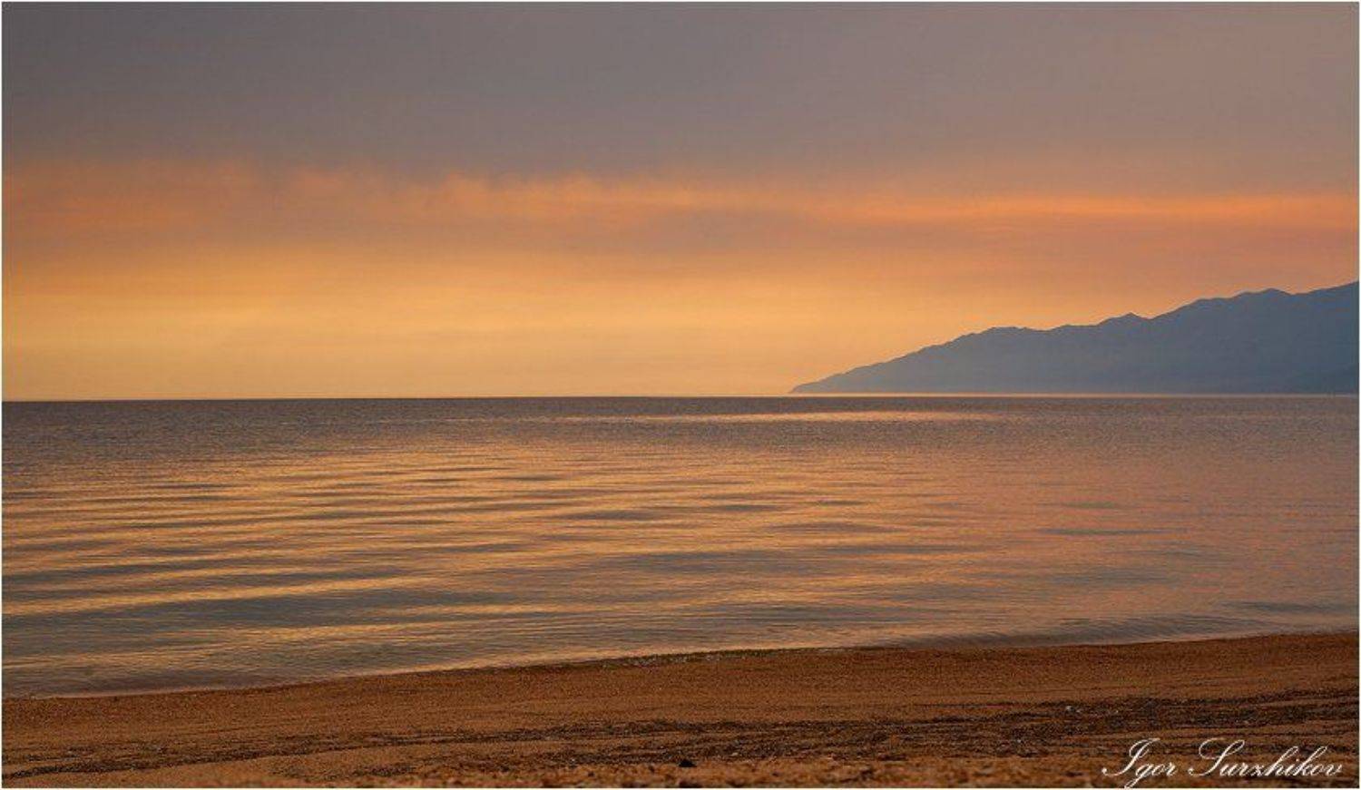 , Игорь Суржиков