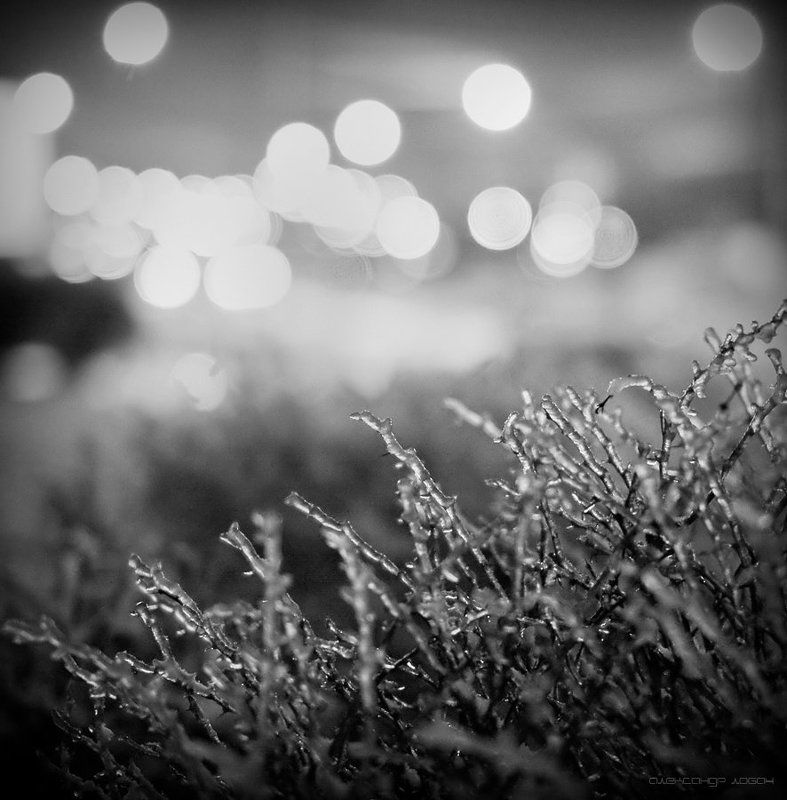 ///\\\\\\photo preview