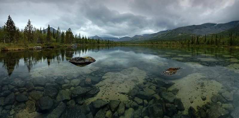 Пятнаphoto preview