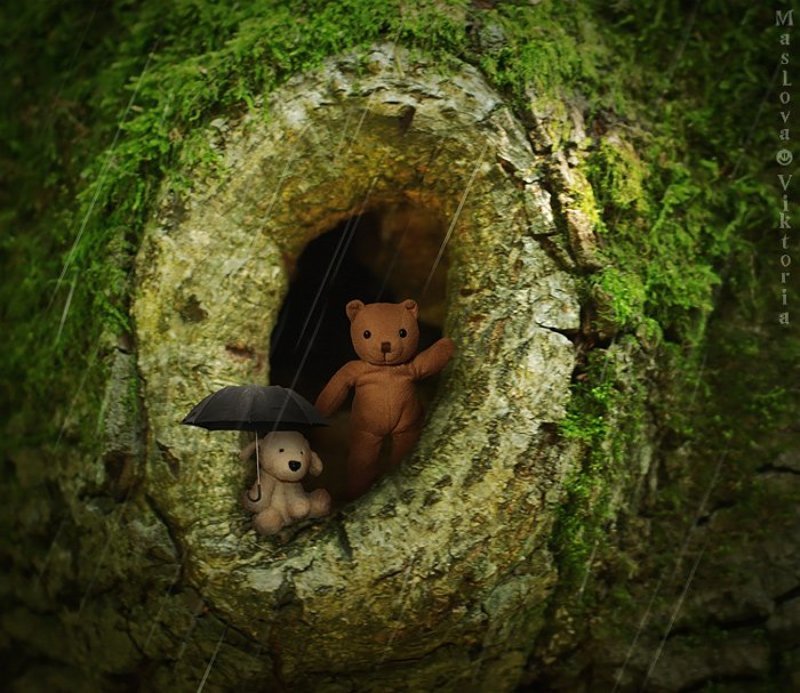 мишка Про дождьphoto preview