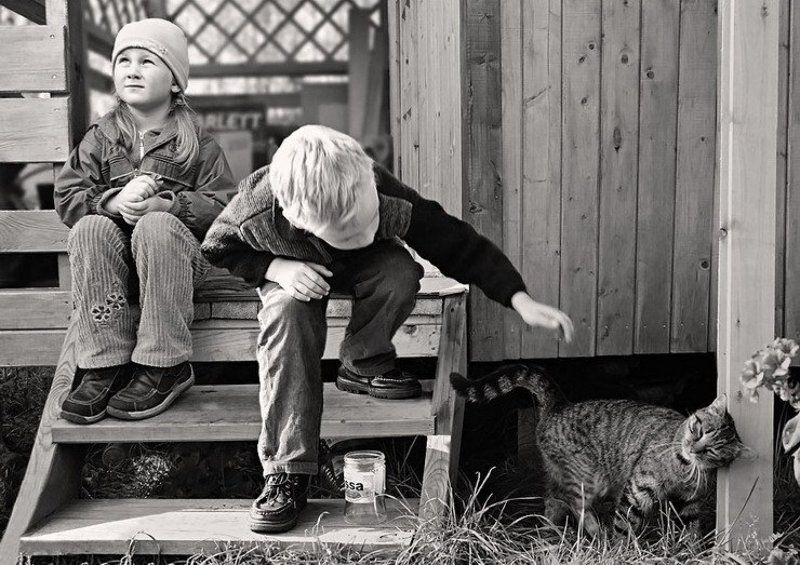 дети, кошак дачнаяphoto preview