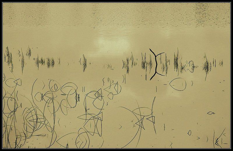 Графика природы... или озёрные иероглифыphoto preview