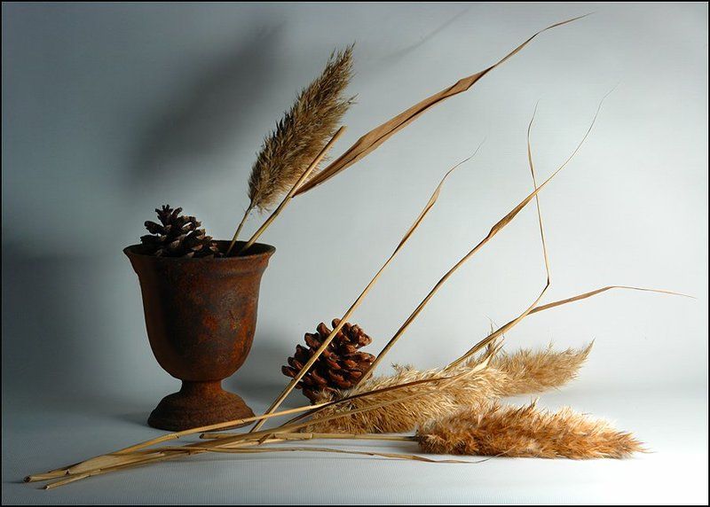 ветренный день декабря фото превью