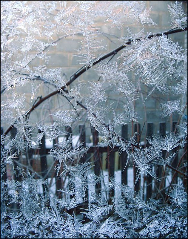 приметы Рождества фото превью