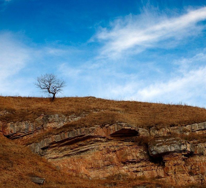 карачаевво-черкесия, плато бермамыт, скалы, облака, дерево ***photo preview