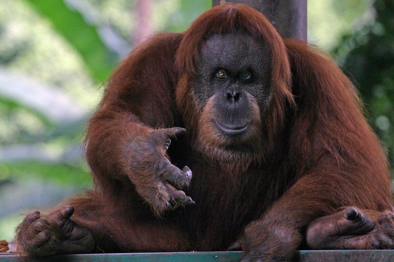 №5 (Подойди, фотограф...)photo preview