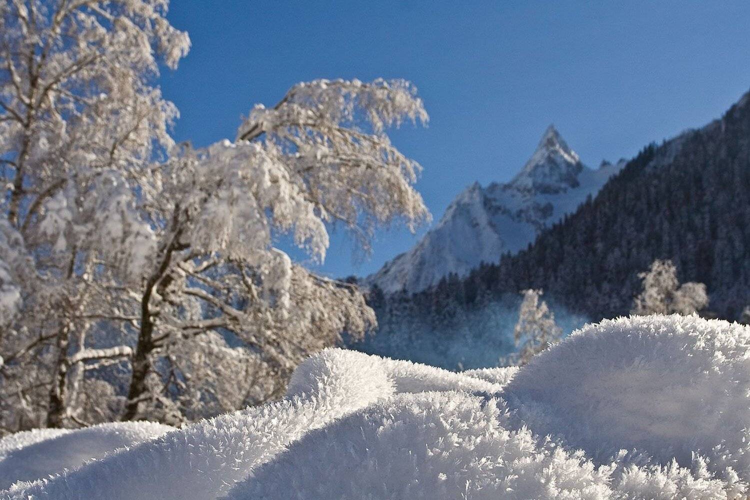 Снежные кристаллы (Домбай, декабрь). Автор: dimmm домбай, dimmm