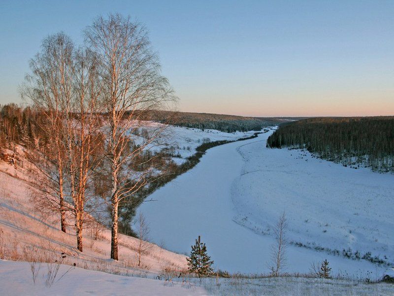 немда, зима, золото, береза Угасающий деньphoto preview