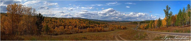 Осень, дорогаphoto preview