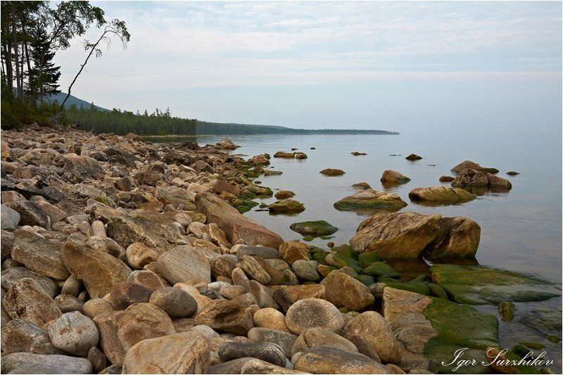 Утренняяphoto preview