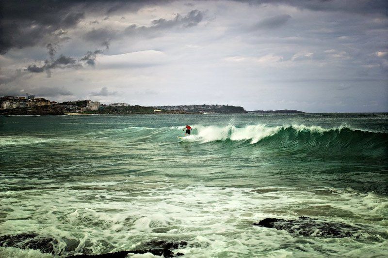 Смельчак.photo preview